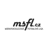 Msfl logo