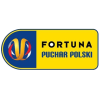 Polish Cup logo