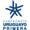 Primera Division logo