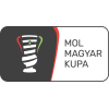 Hungarian Cup logo