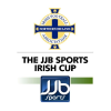 Irish Cup logo