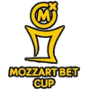 Shield Cup logo