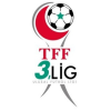 3. Lig Group 2 logo