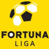 Nike Liga logo