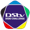 Diski Challenge logo