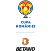 Romanian Cup logo