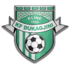 Dukagjini logo