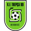 Trepca 89 logo