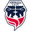 Fortaleza W logo