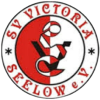 Seelow logo