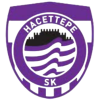 Hacettepe logo