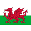 Wales U19 W logo