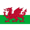 Wales U19 W logo