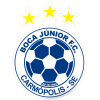 Boca Junior logo