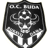 Bukavu Dawa logo