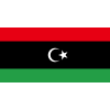 Libya U20 logo