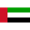 United Arab Emirates W logo