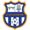 Bad Sauerbrunn logo