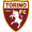 Torino U19 logo