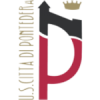 Pontedera U19 logo