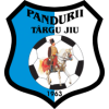 Pandurii logo