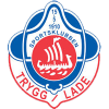 Trygg/Lade logo