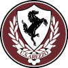 Arezzo U19 logo