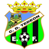 Tedeon logo