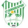 12 Bingol logo