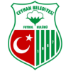 Ceyhanspor logo