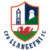 Llangefni logo