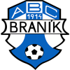 Branik W logo