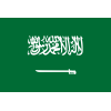 Saudi Arabia U21 logo