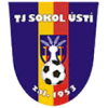 Sokol Usti logo