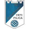 Buducnost Pilica logo