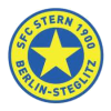 Stern logo