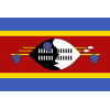 Eswatini U20 logo