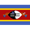 Eswatini U20 logo