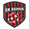 Bahon logo