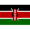 Kenya W logo