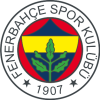 Fenerbahce U19 logo