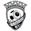 Brito W logo