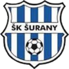 Sk Surany logo