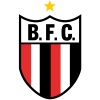 Botafogo Sp B logo