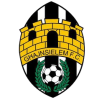 Ghajnsielem logo