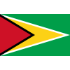 Guyana U17 W logo