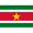 Suriname W logo