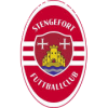 Steinfort logo