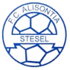 Alisontia Steinsel logo