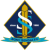 Sony Sendai logo